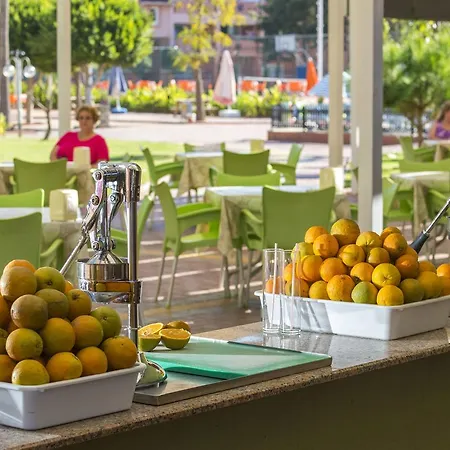 Lonicera & Hotel Avsallar