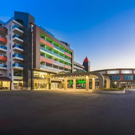 Lonicera & アブサルア