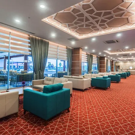 Lonicera & アブサルア